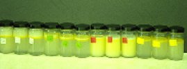 Various oil mixes in bottles after shake tests to examine emulsifier effects